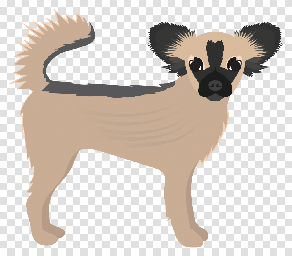Long Hair Chihuahua Small Greek Domestic Dog Clipart Animal Figure, Mammal, Raccoon, Wildlife Transparent Png