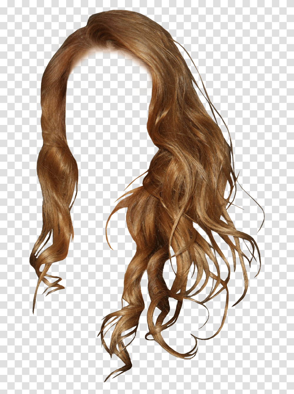 Long Hair Girl Hair Style, Wig, Person, Human, Ponytail Transparent Png