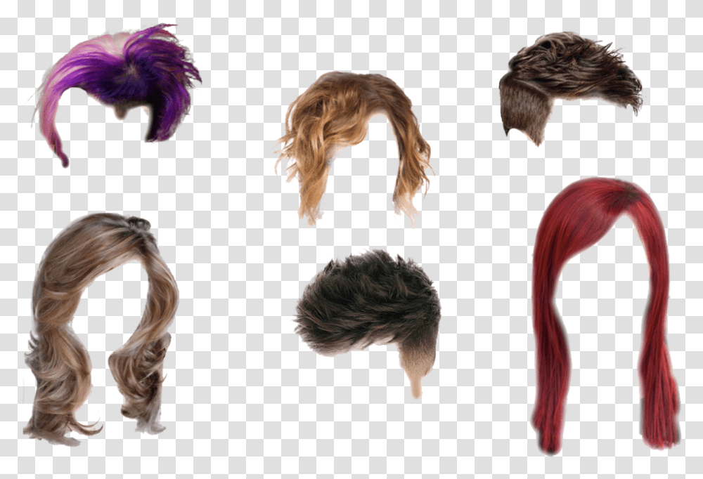 Long Hair Hair 3d, Animal, Bird, Mammal, Dog Transparent Png