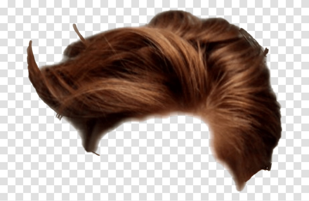 Long Hair, Head, Mammal, Animal, Person Transparent Png
