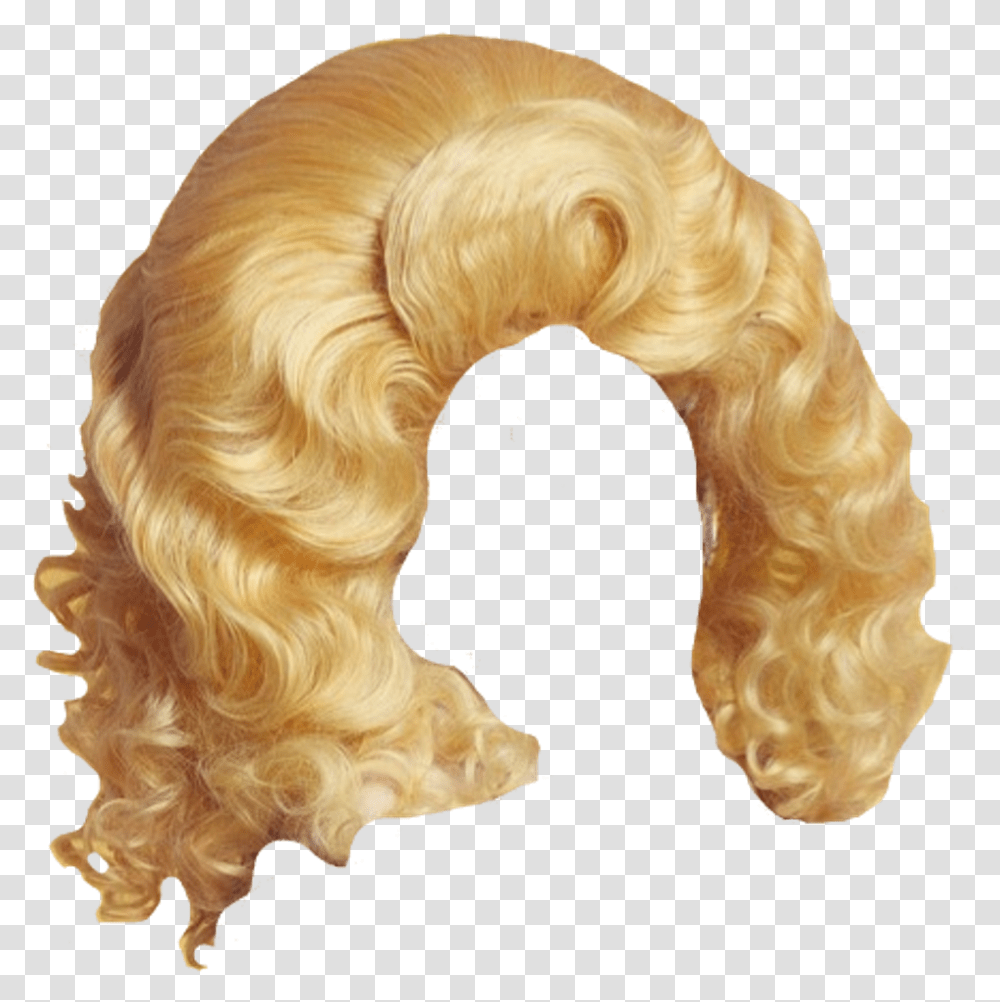 Long Hair Wig Drag Queen Wig, Dog, Pet, Canine, Animal Transparent Png