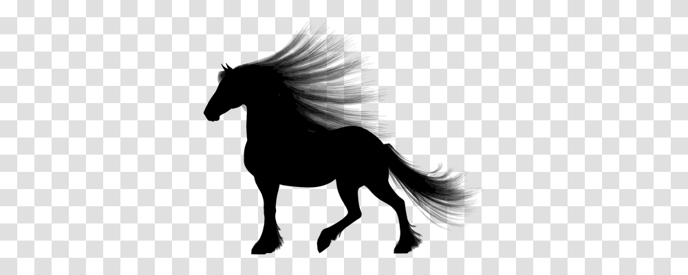 Long Haired Animals, Gray, World Of Warcraft Transparent Png
