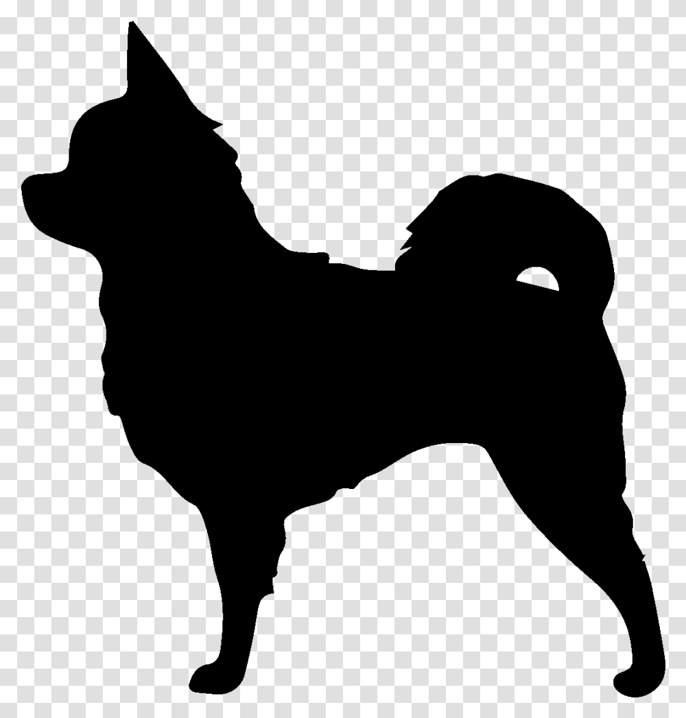 Long Haired Chihuahua Pomeranian Papillon Dog Clip Long Haired Chihuahua Vector, Gray Transparent Png