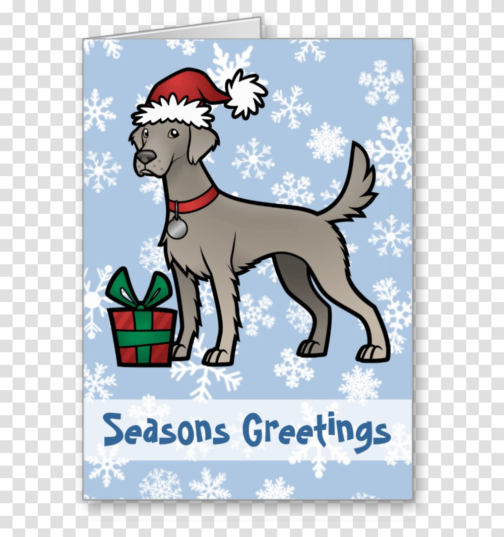 Long Haired Weimaraner Christmas Card Love, Mammal, Animal, Poster, Advertisement Transparent Png