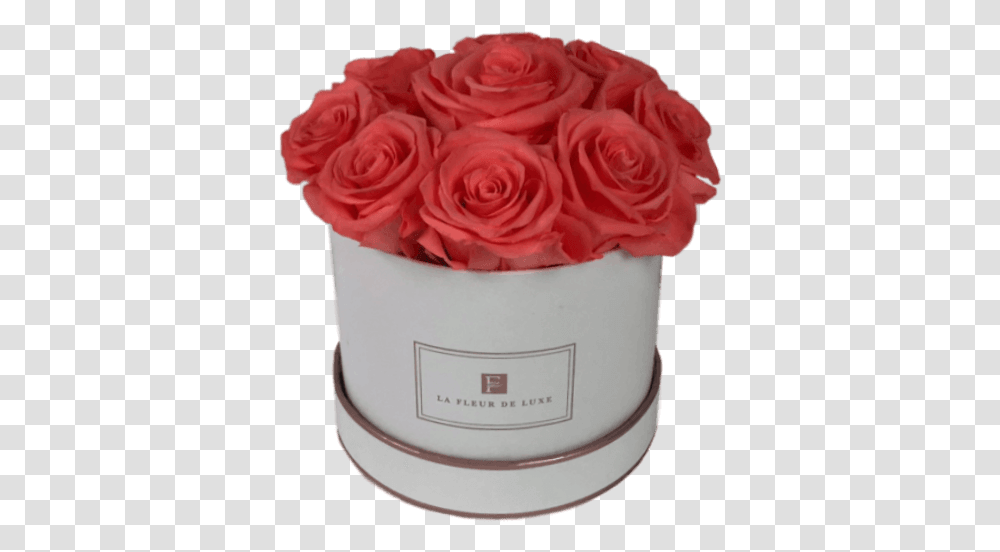 Long Lasting Peach Roses In A White Box Garden Roses, Cake, Dessert, Food, Plant Transparent Png