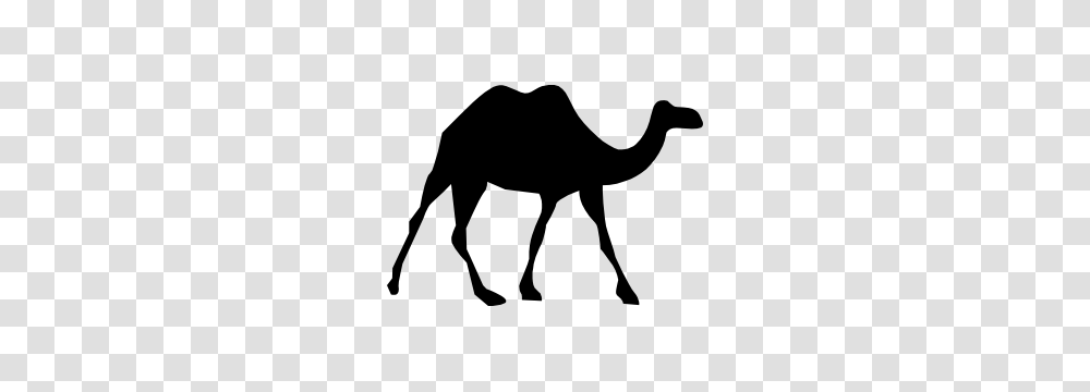Long Legged Camel Sticker, Mammal, Animal, Cow, Cattle Transparent Png