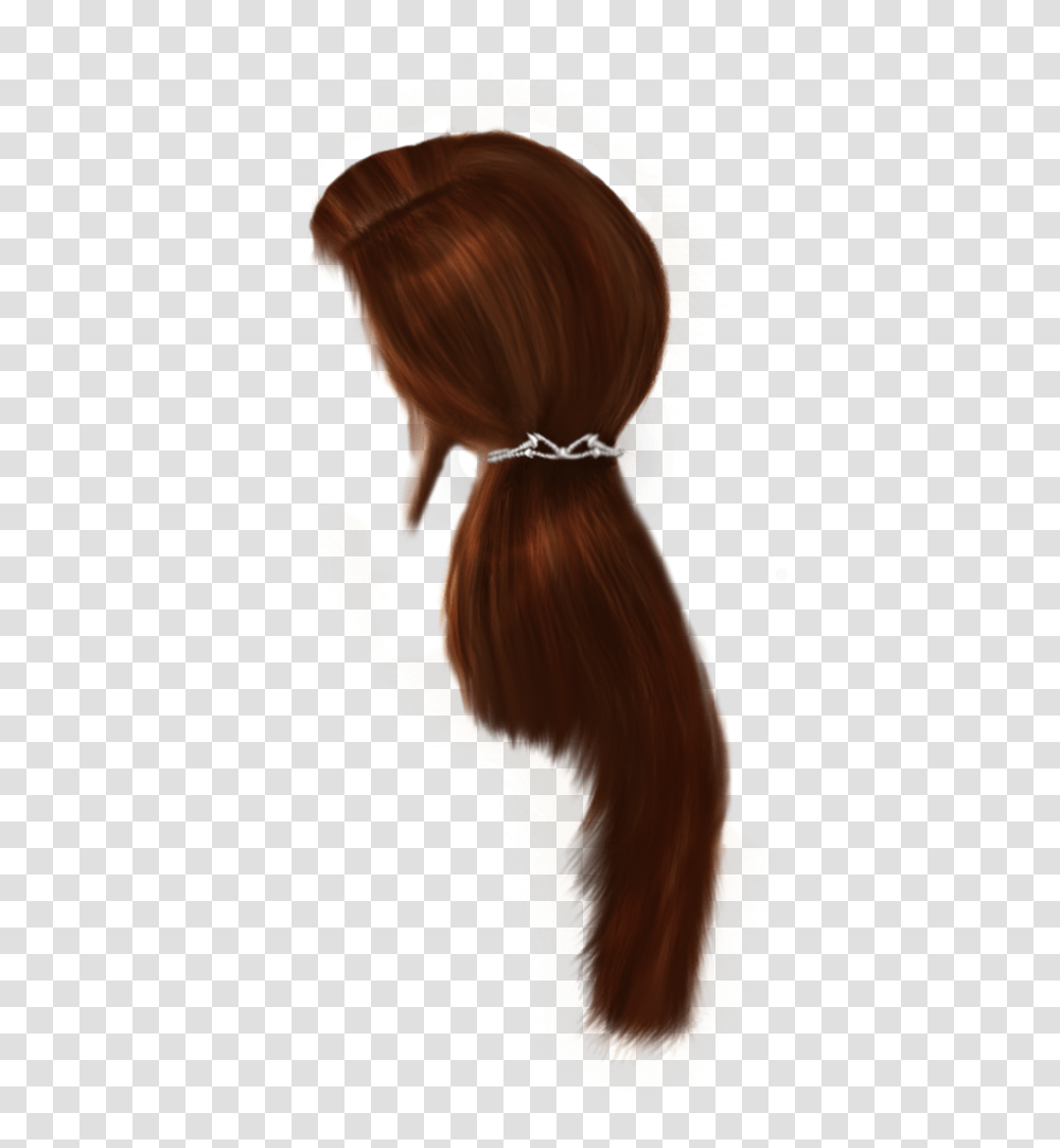 Long Male Hair Picture Lace Wig, Person, Plant, Ponytail, Back Transparent Png