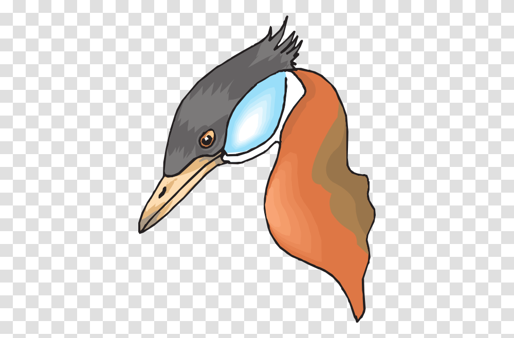 Long Necked Duck Head Clip Art, Beak, Bird, Animal, Flamingo Transparent Png