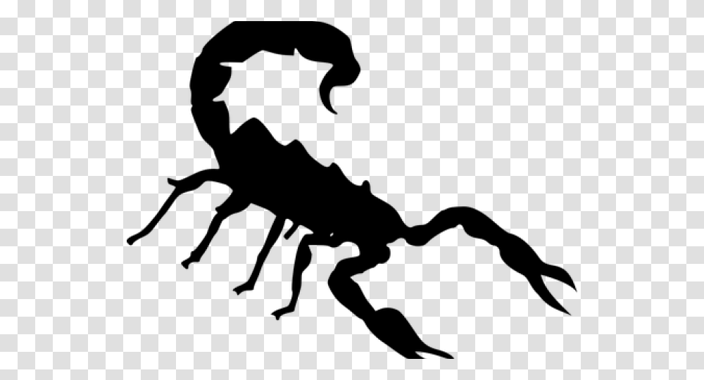 Long Range Desert Group Logo Clipart Download Cartoon Scorpion Background, Gray, World Of Warcraft Transparent Png