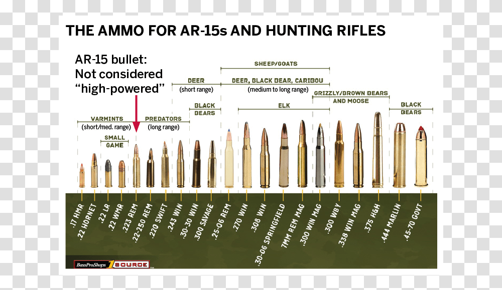 Long Range Hunting Calibers, Weapon, Weaponry, Ammunition, Bullet Transparent Png
