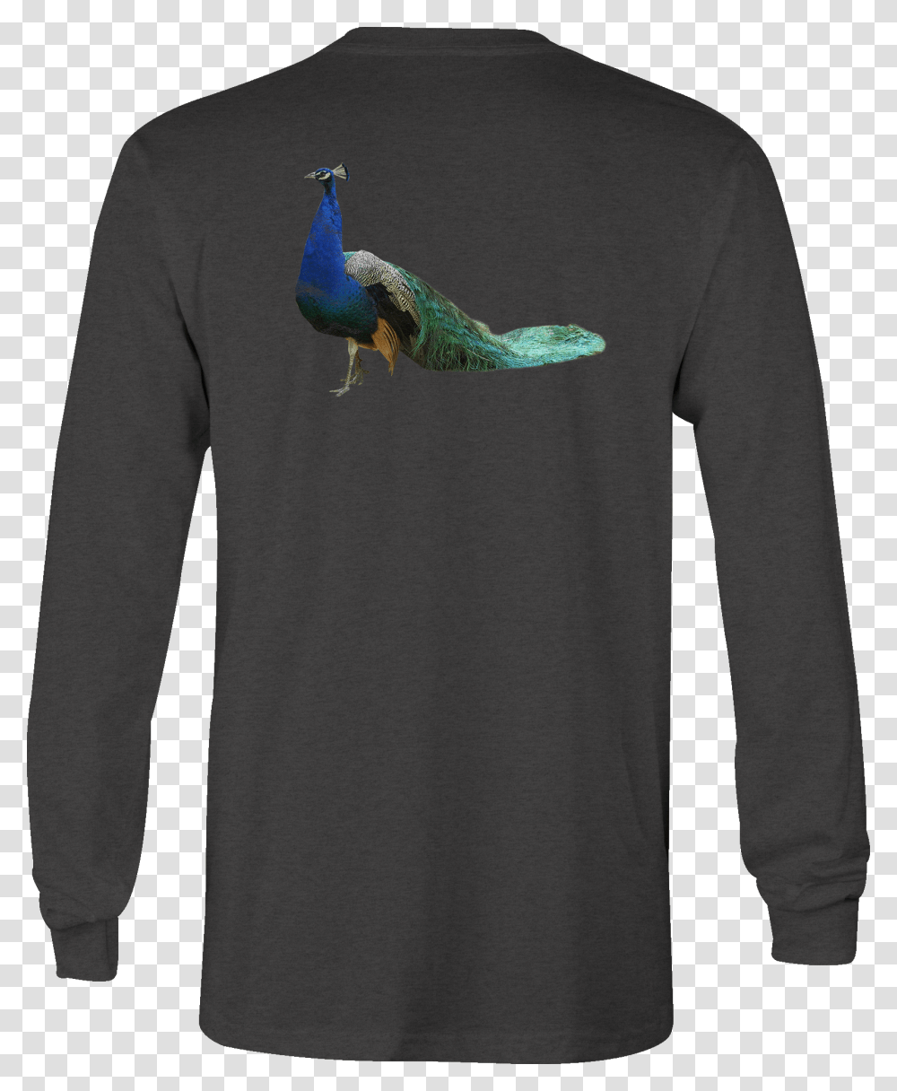 Long Sleeve Tshirt Peacock Feathers Shirt For Men Or T Shirt, Apparel, Bird, Animal Transparent Png