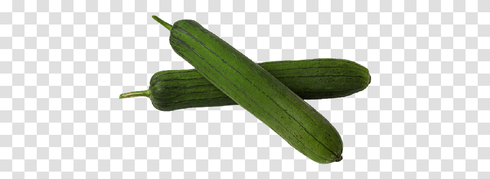 Long Sponge Gourdloofah 250g Cucumber, Plant, Vegetable, Food, Produce Transparent Png