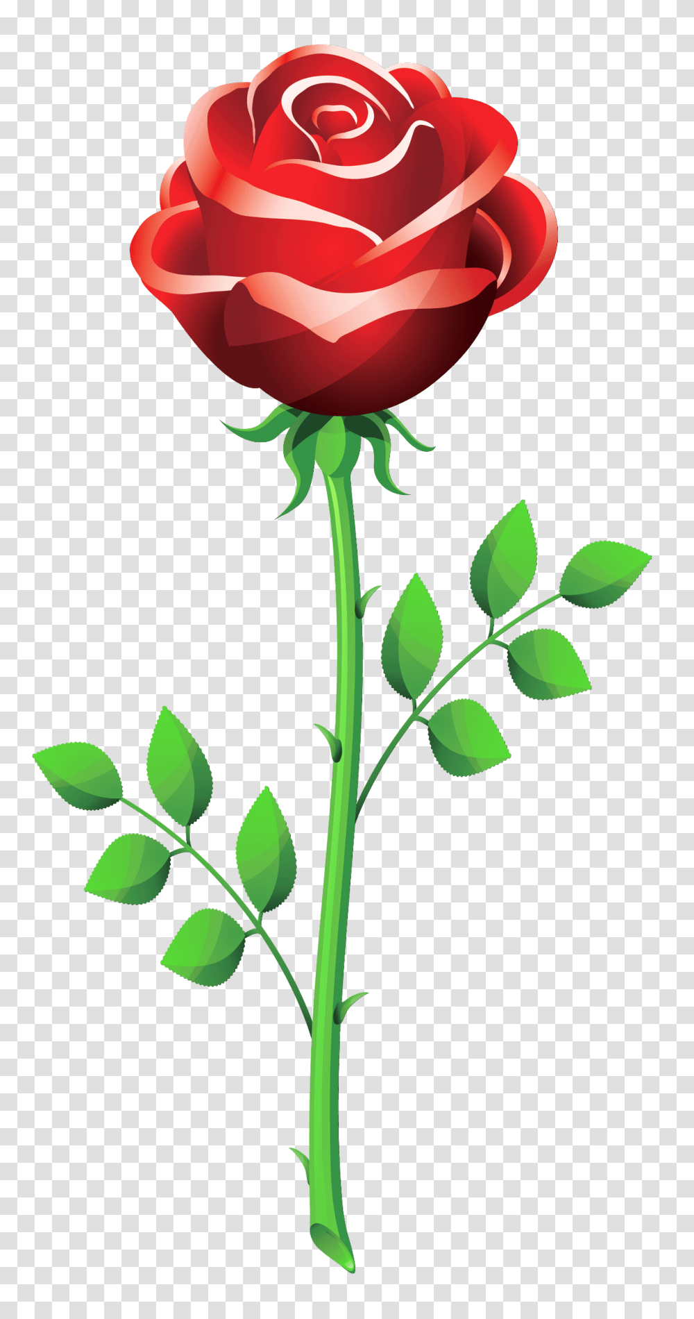 Long Stem Red Rose Beauty And The Beast Clip Art, Flower, Plant, Blossom, Green Transparent Png