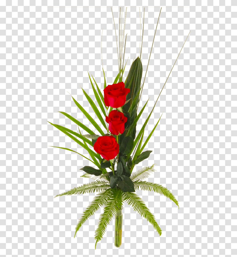 Long Stemmed Single Rose Garden Roses, Plant, Flower, Blossom, Ikebana Transparent Png
