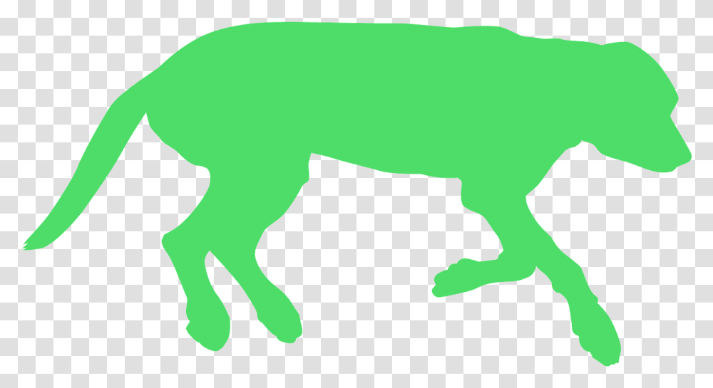 Longdog, Mammal, Animal, Silhouette, Wildlife Transparent Png