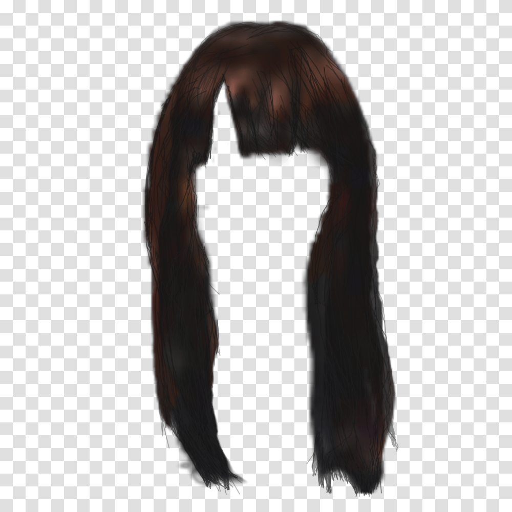Longhair Straight Hair Bangs Newhairstyles Africanamer, Bird, Animal, Face, Portrait Transparent Png