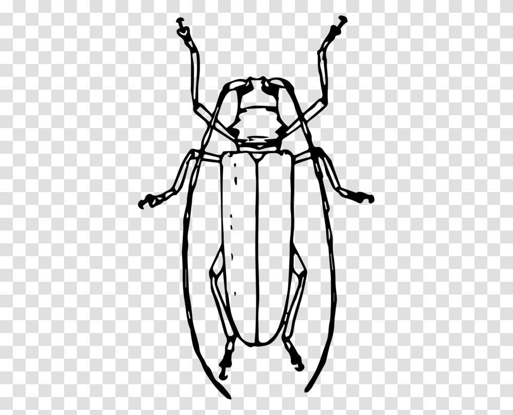 Longhorn Beetle Drawing Volkswagen Beetle Ladybird Beetle Free, Gray, World Of Warcraft Transparent Png