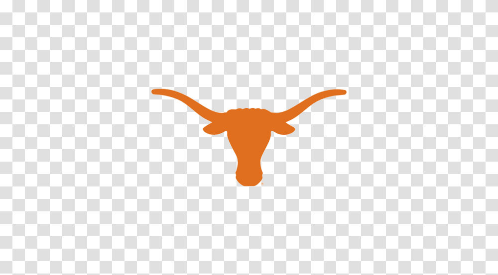 Longhorn, Icon, Cattle, Mammal, Animal Transparent Png