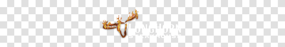 Longhorn, Icon, Logo Transparent Png