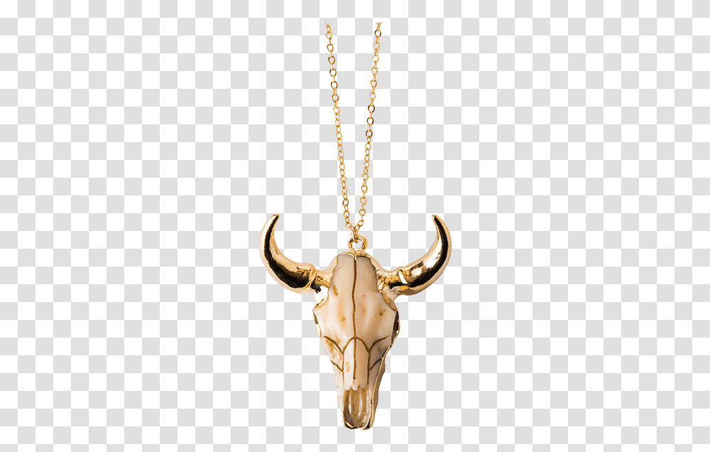 Longhorn Necklace, Pendant, Gold, Antler, Hook Transparent Png
