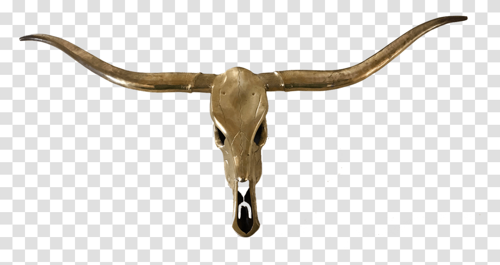 Longhorn Skull, Antelope, Wildlife, Mammal, Animal Transparent Png