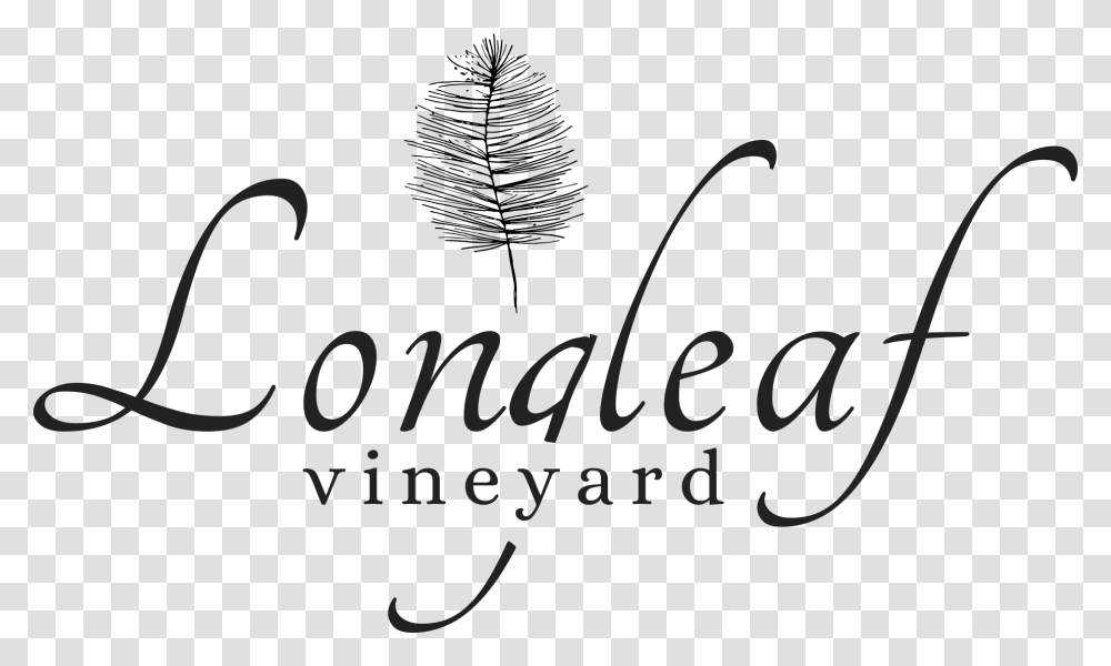 Longleaf Logo Vineyard Asheville Wedding Events, Calligraphy, Handwriting, Label Transparent Png