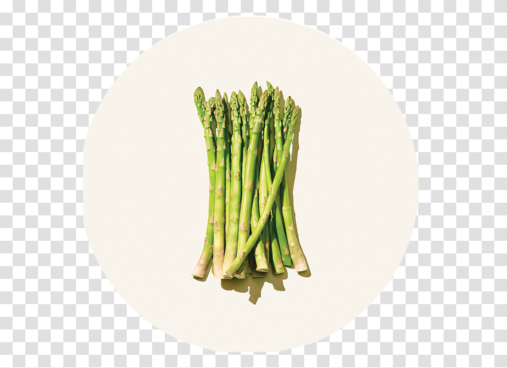 Longo, Plant, Vegetable, Food, Asparagus Transparent Png