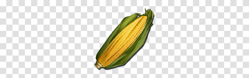 Longrass, Plant, Vegetable, Food, Corn Transparent Png