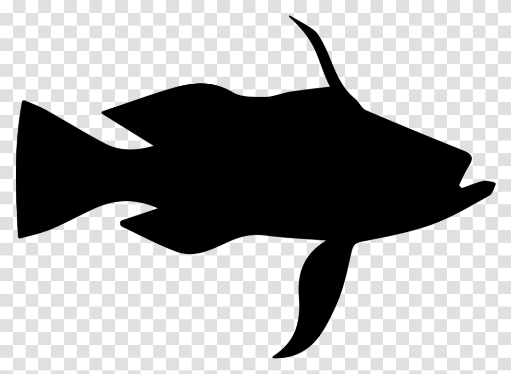 Longtail Bass Fish Shape Clip Art, Silhouette, Stencil, Sea Life, Animal Transparent Png