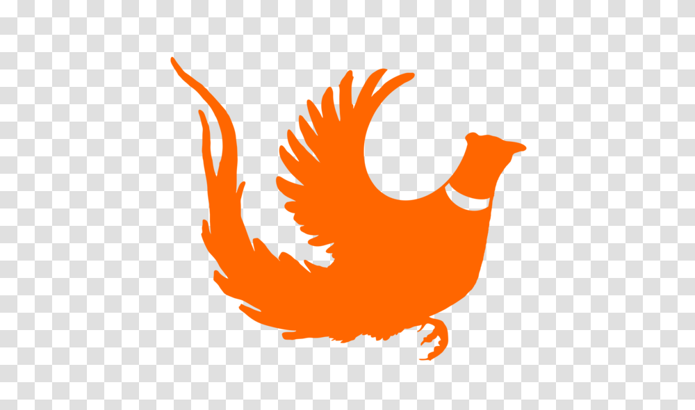 Longtail Rooster Pheasant Pheasant Hunting Decal Modern Wild, Bird, Animal, Poultry, Fowl Transparent Png