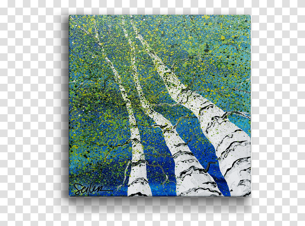 Looking Skyward Aspen Trees Box Art Paper Birch, Mosaic, Tile, Painting Transparent Png