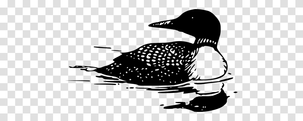 Loon Animals, Gray, World Of Warcraft Transparent Png