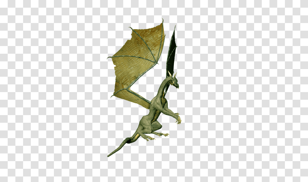Loon Dlpng, Bird, Animal, Anole Transparent Png