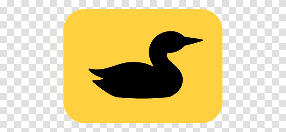 Loon Outdoors Icon Sticker Loon, Bird, Animal, Waterfowl, Goose Transparent Png