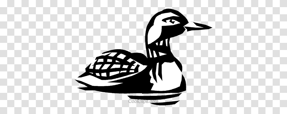 Loon Royalty Free Vector Clip Art Illustration, Bird, Animal, Penguin, Waterfowl Transparent Png