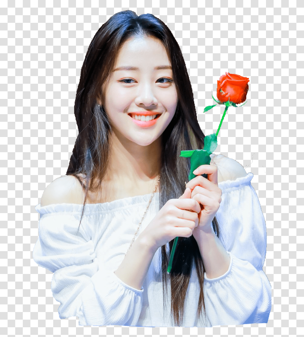 Loona Yves Loonayves Xx Butterfly Sooyoung Hasooyoung Girl, Person, Human, Rose, Flower Transparent Png