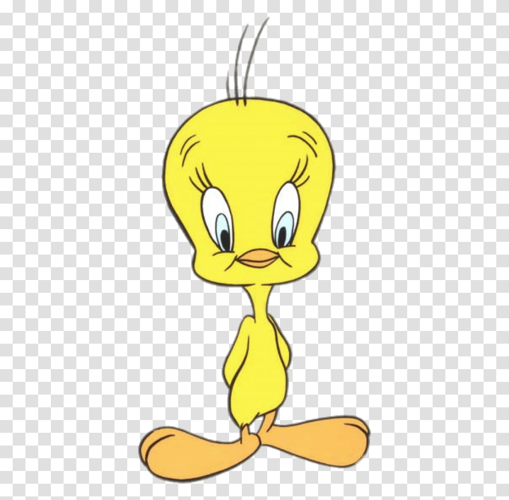 Looney Tunes Character Tweety Cartoon Character Space Jam, Light, Trophy Transparent Png