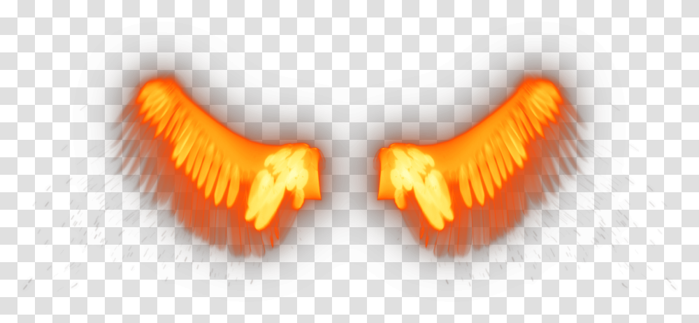 Looping Firey Angel Wings Flapping 1 Language, Hand, Light, Lamp, Bonfire Transparent Png