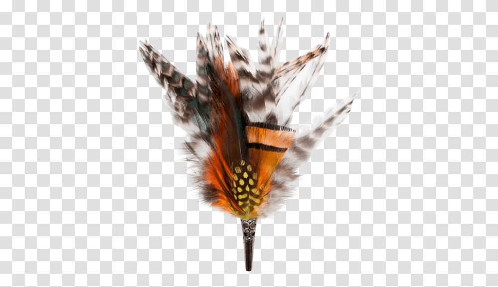 Loose Brooch Feathers Oranges & Beige My Bob Milkweed Butterflies, Bird, Animal, Art, Pattern Transparent Png