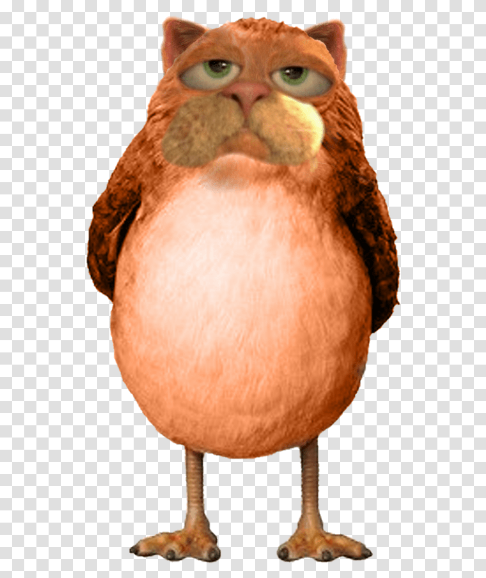 Lorax Star Wars New Creature 4264498 Vippng Porg, Plant, Grain, Produce, Vegetable Transparent Png
