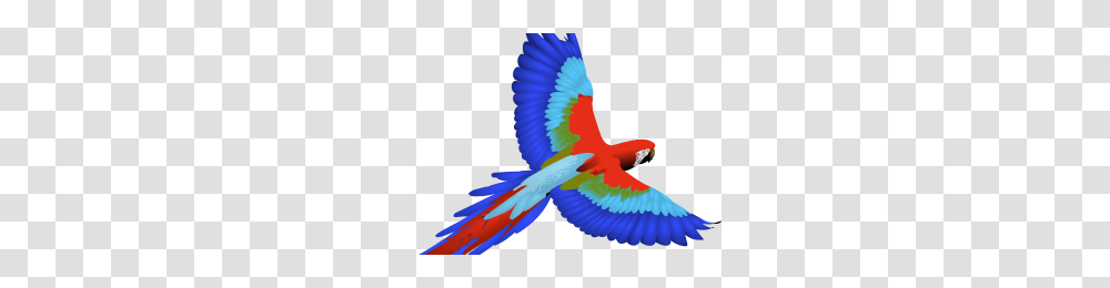 Lord Farquaad 3 Image, Animal, Bird, Macaw, Parrot Transparent Png