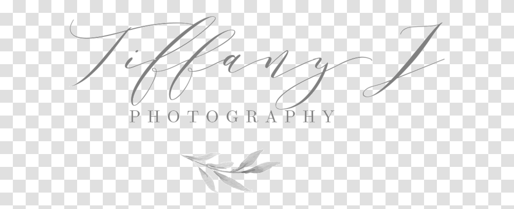 Los Angeles Wedding Photographer, Bow, Handwriting, Signature Transparent Png