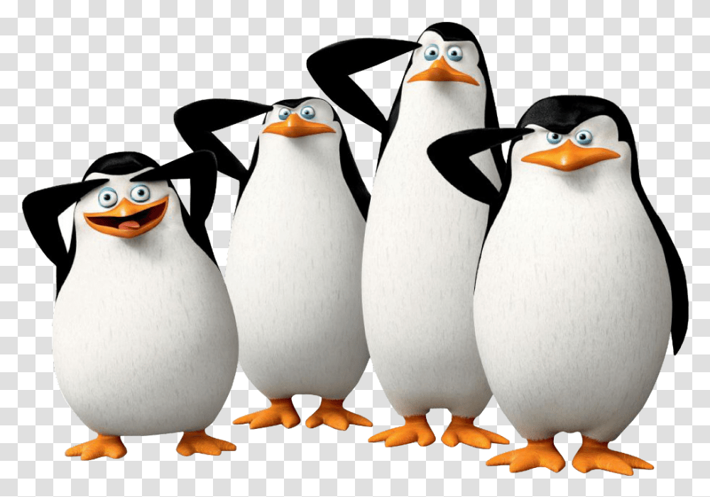Los Pinginos De Madagascar Penguins Of Madagascar Hd, Bird, Animal, King Penguin Transparent Png