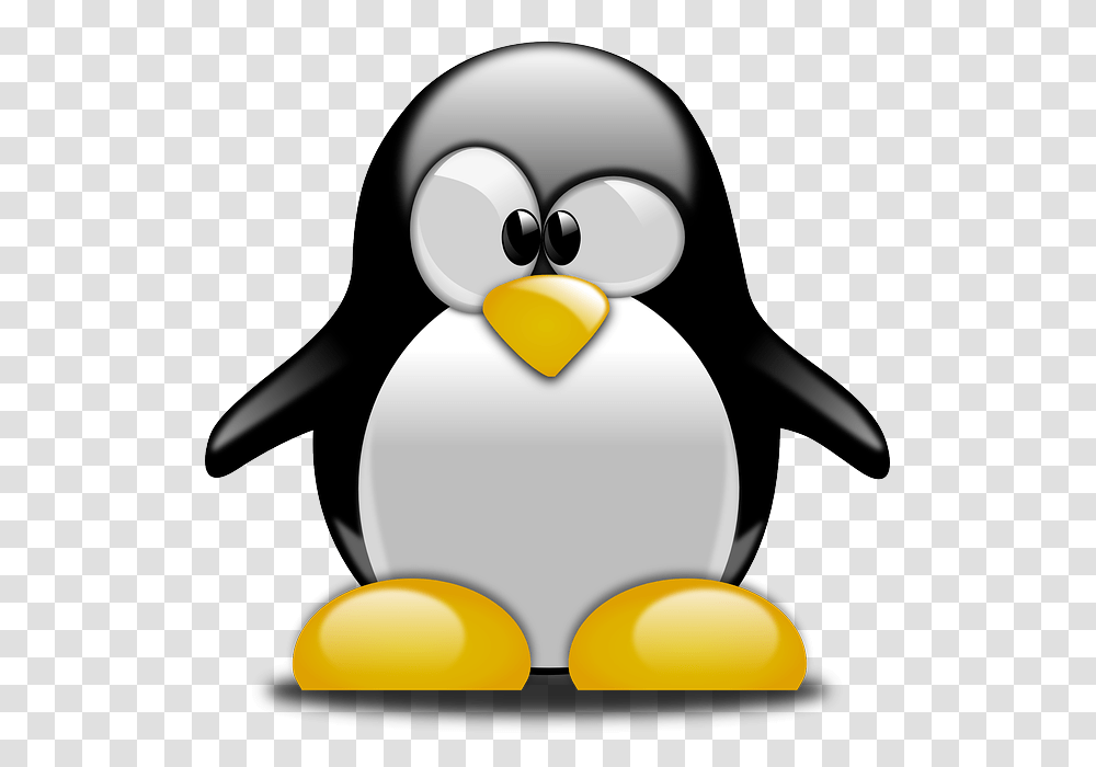 Lossless And Alpha Gallery Webp Google Developers Linux Tux, Bird, Animal, Penguin, Blow Dryer Transparent Png