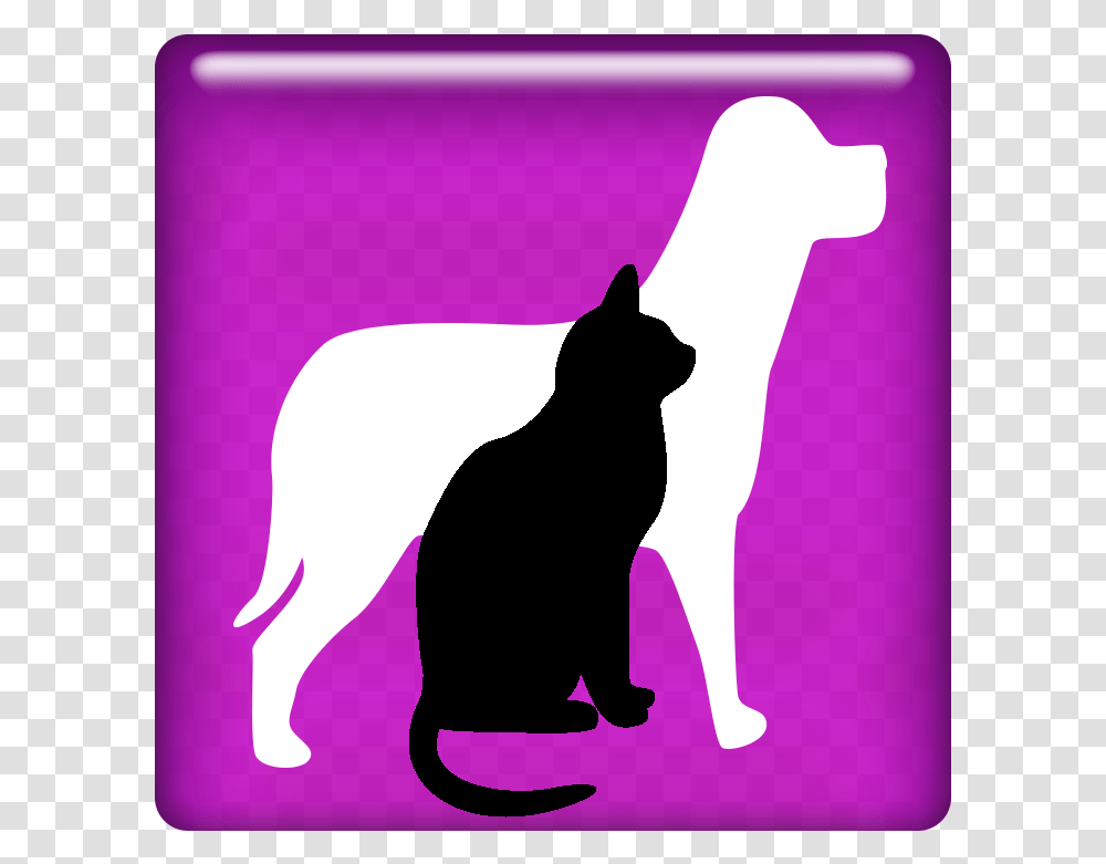 Lost Found, Silhouette, Cat, Pet, Mammal Transparent Png