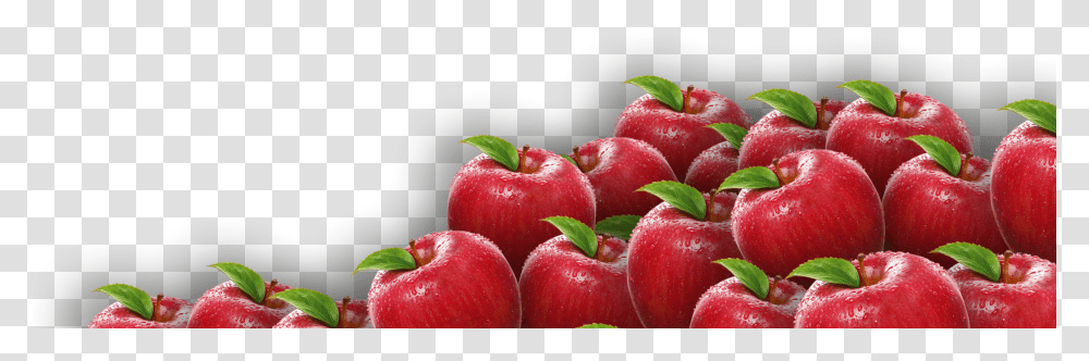 Lot Of Apples, Plant, Fruit, Food, Cherry Transparent Png