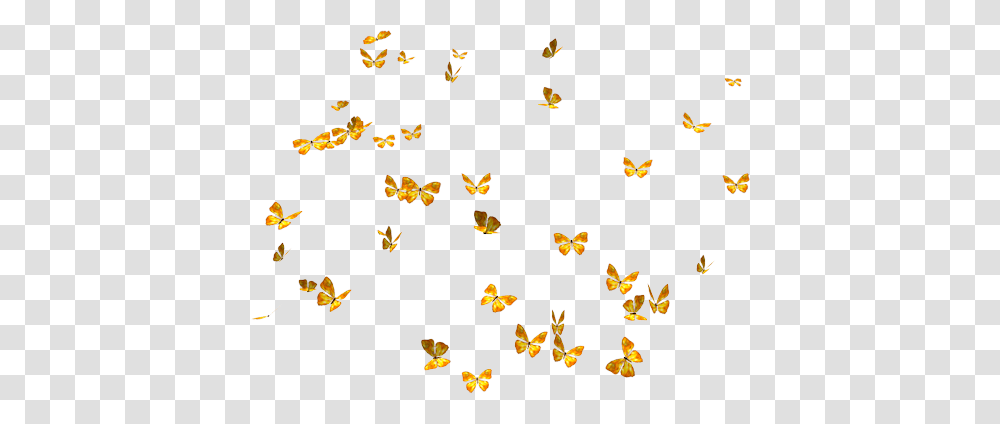Lots Of Butterflies, Plant, Flower, Paper, Animal Transparent Png