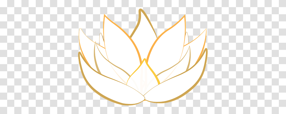 Lotus Lighting, Accessories, Accessory, Jewelry Transparent Png