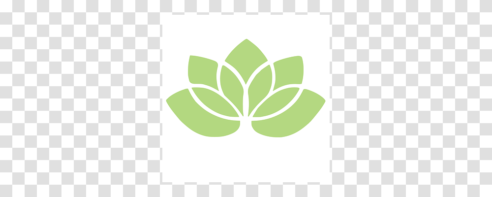 Lotus Leaf, Plant, Green Transparent Png