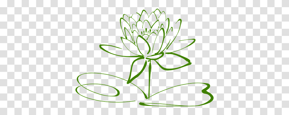 Lotus Blossom Nature, Plant, Food, Seasoning Transparent Png